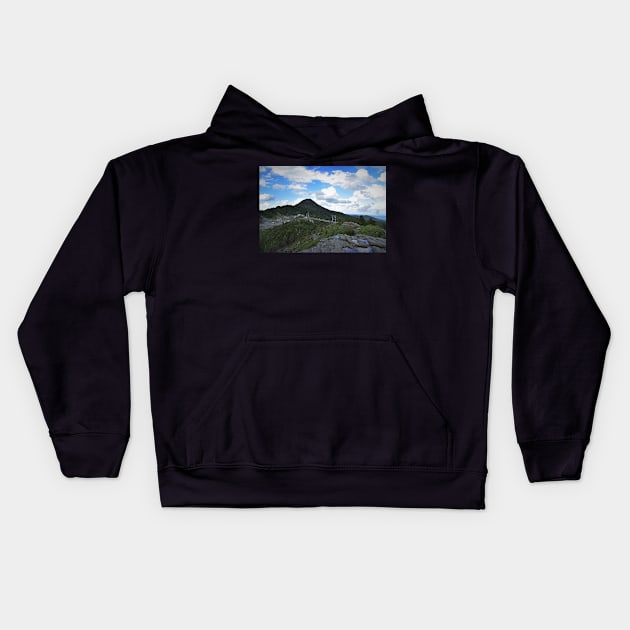 Grandfather Mountain Swinging Bridge Kids Hoodie by Ckauzmann